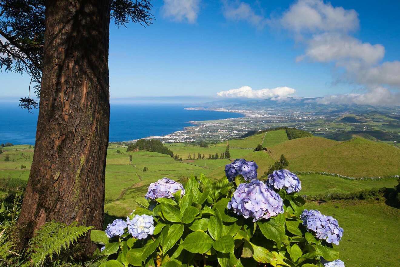 2 lagoa sao miguel